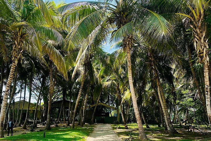 Cabo Ledo