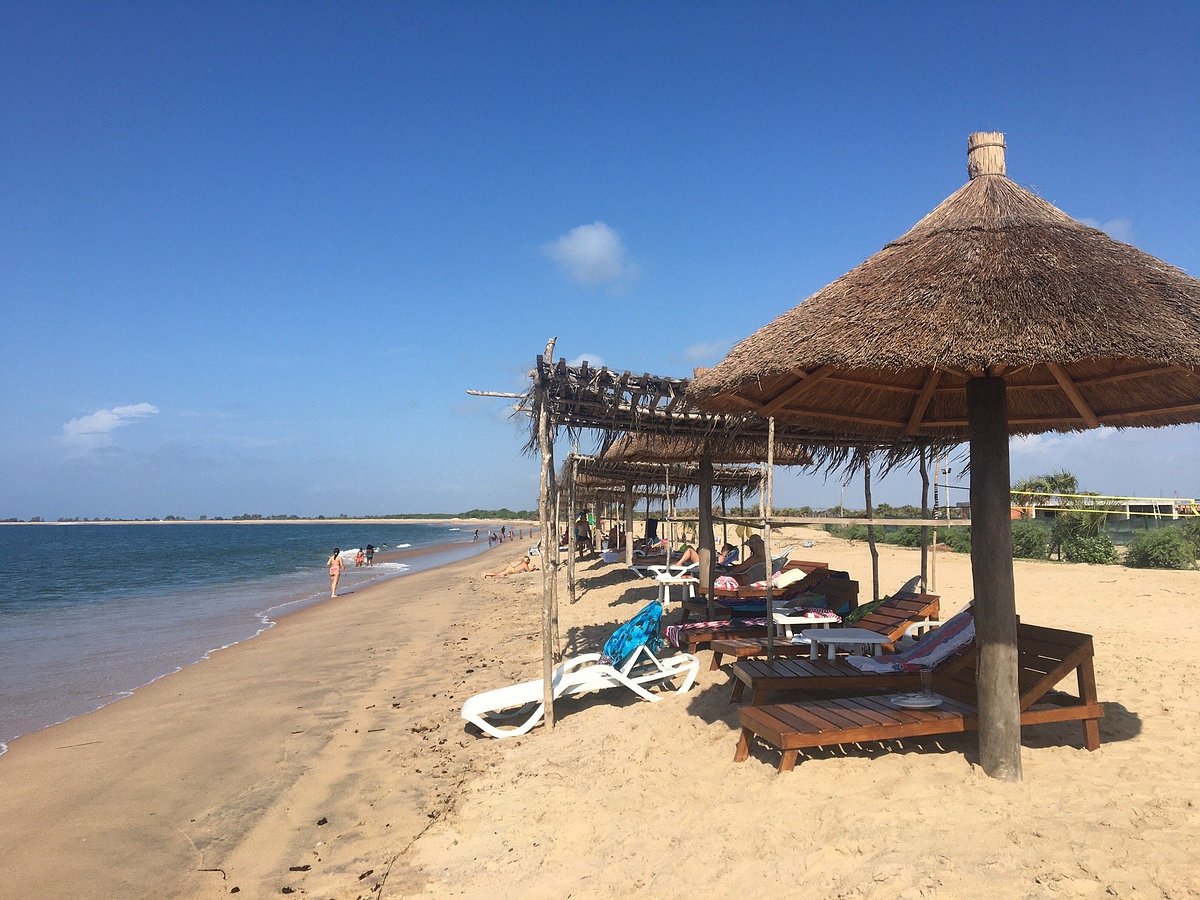 Flamingo Lodge