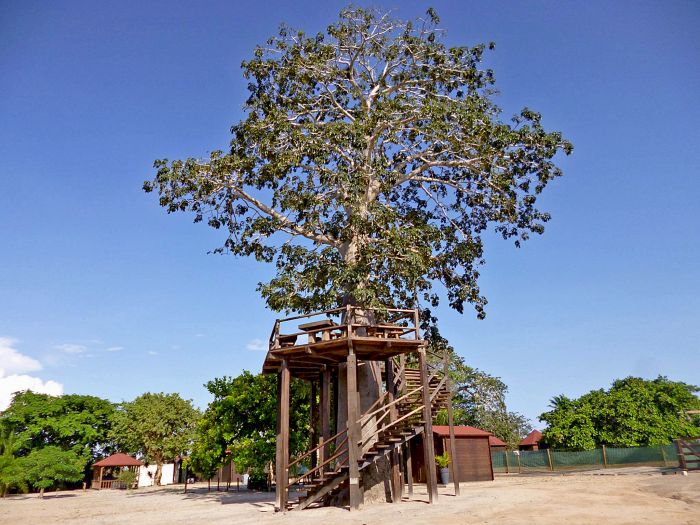 Kinwica Resort